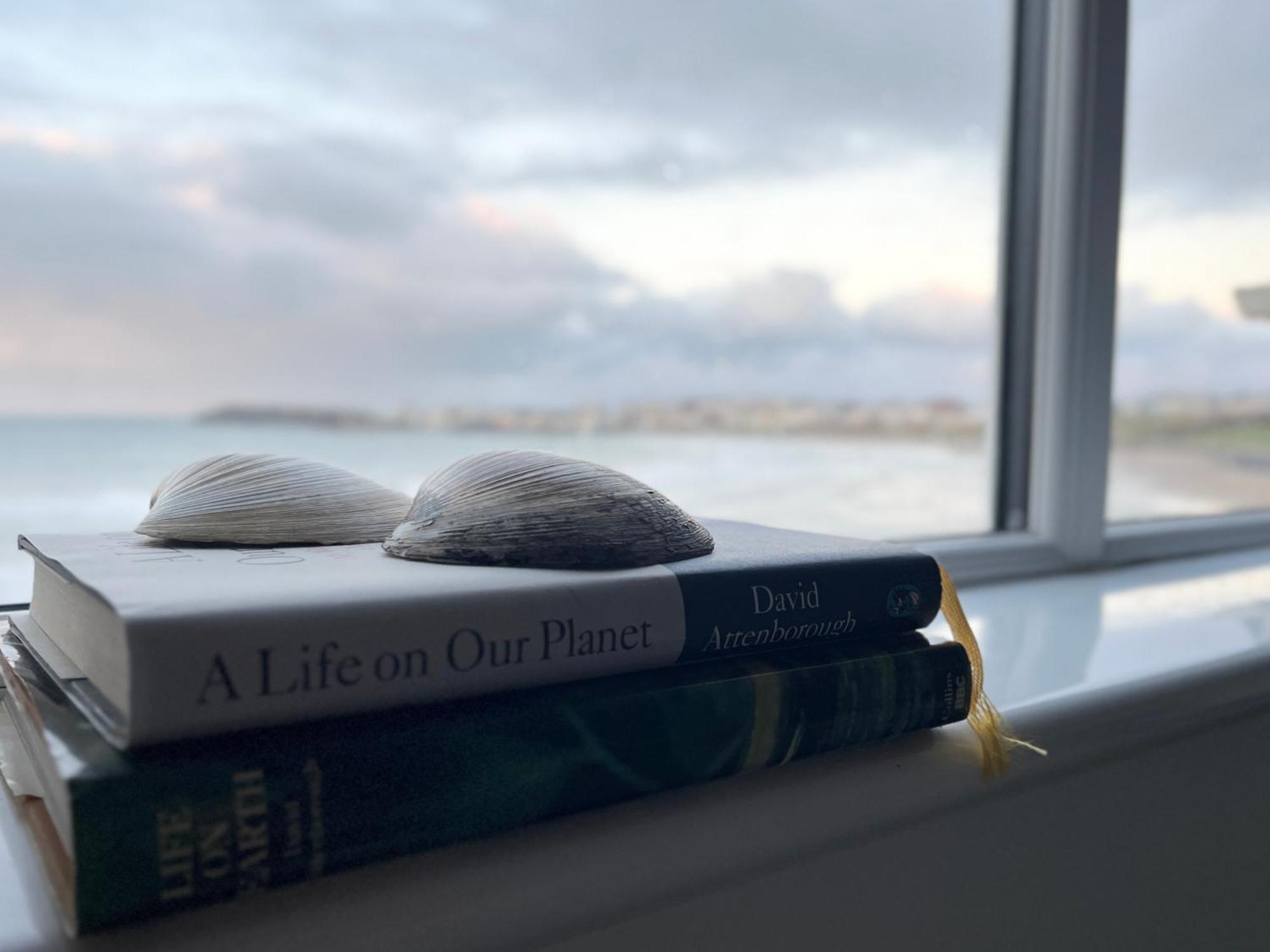 Sound Of The Sea - Penthouse In Portrush Apartment Luaran gambar